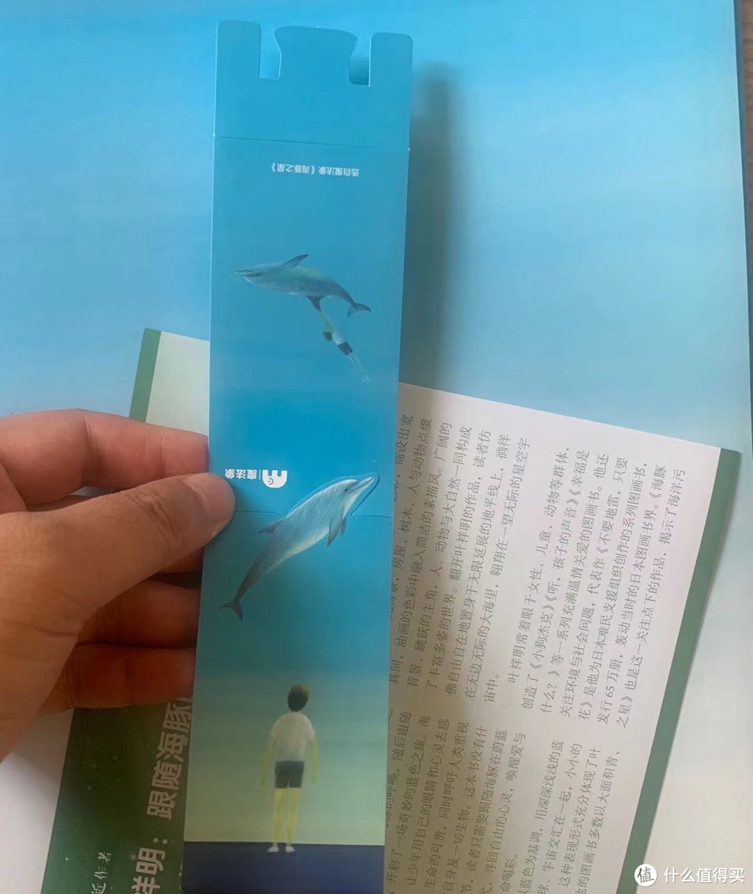 《海豚之星》——跟随海豚的呼唤，来一场心灵疗愈之旅