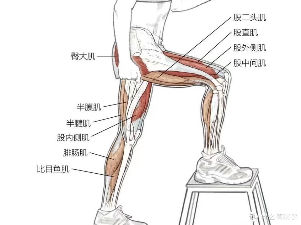 腰痛到底应该睡什么样的床垫？超详细的护脊床垫攻略看这一篇就够了！