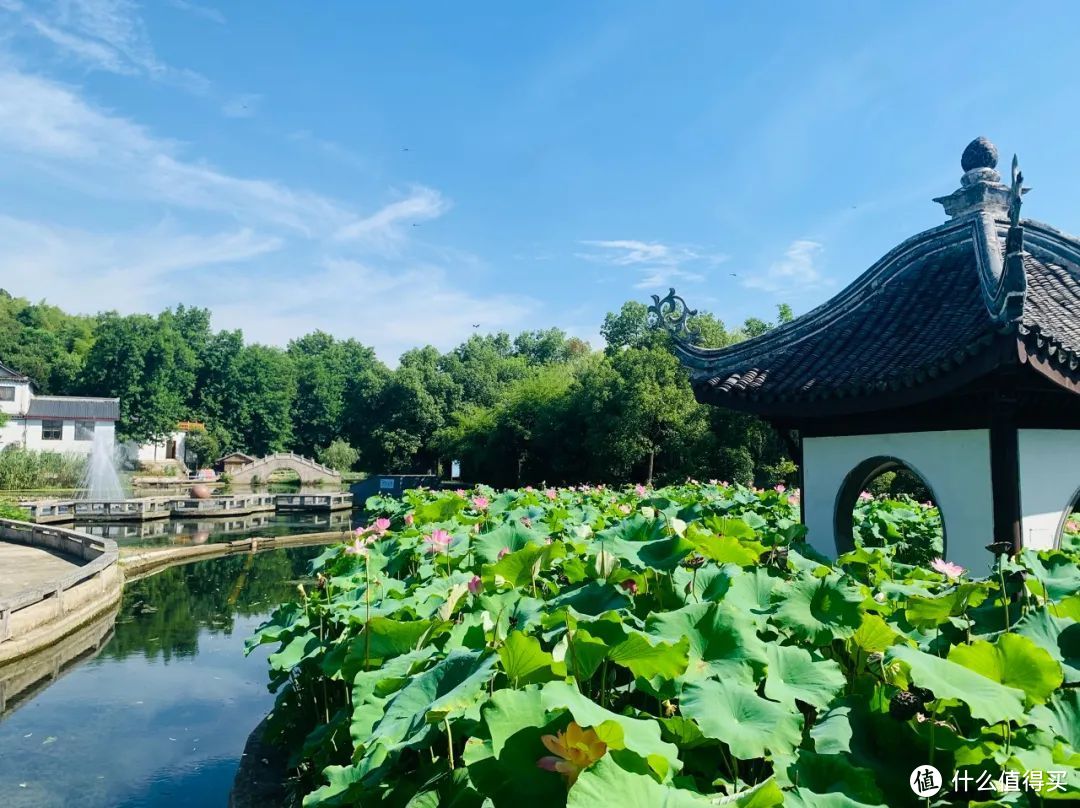 我去竹林避暑了，夏天过完再通知我！