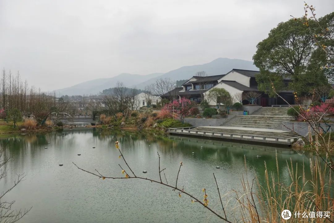 我去竹林避暑了，夏天过完再通知我！