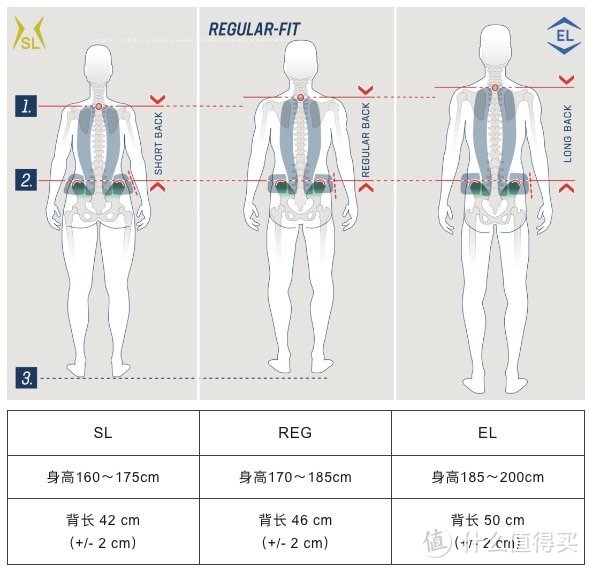 多特官方指导图