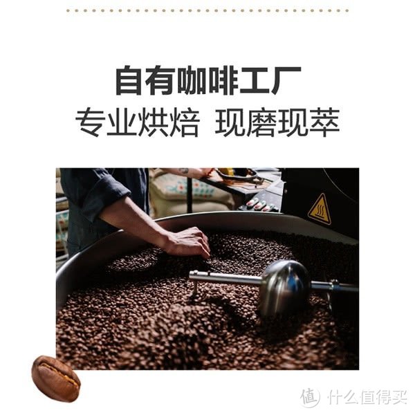 中国茶与西方咖啡：文化交融的饮品之旅，给你带来不一样的茉莉茶咖
