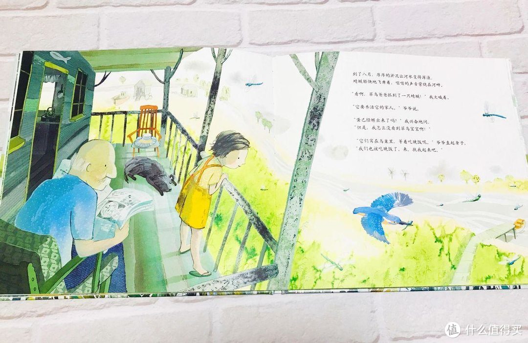 《爷爷和翠鸟》一本关于时间、生命和爱的亲情绘本