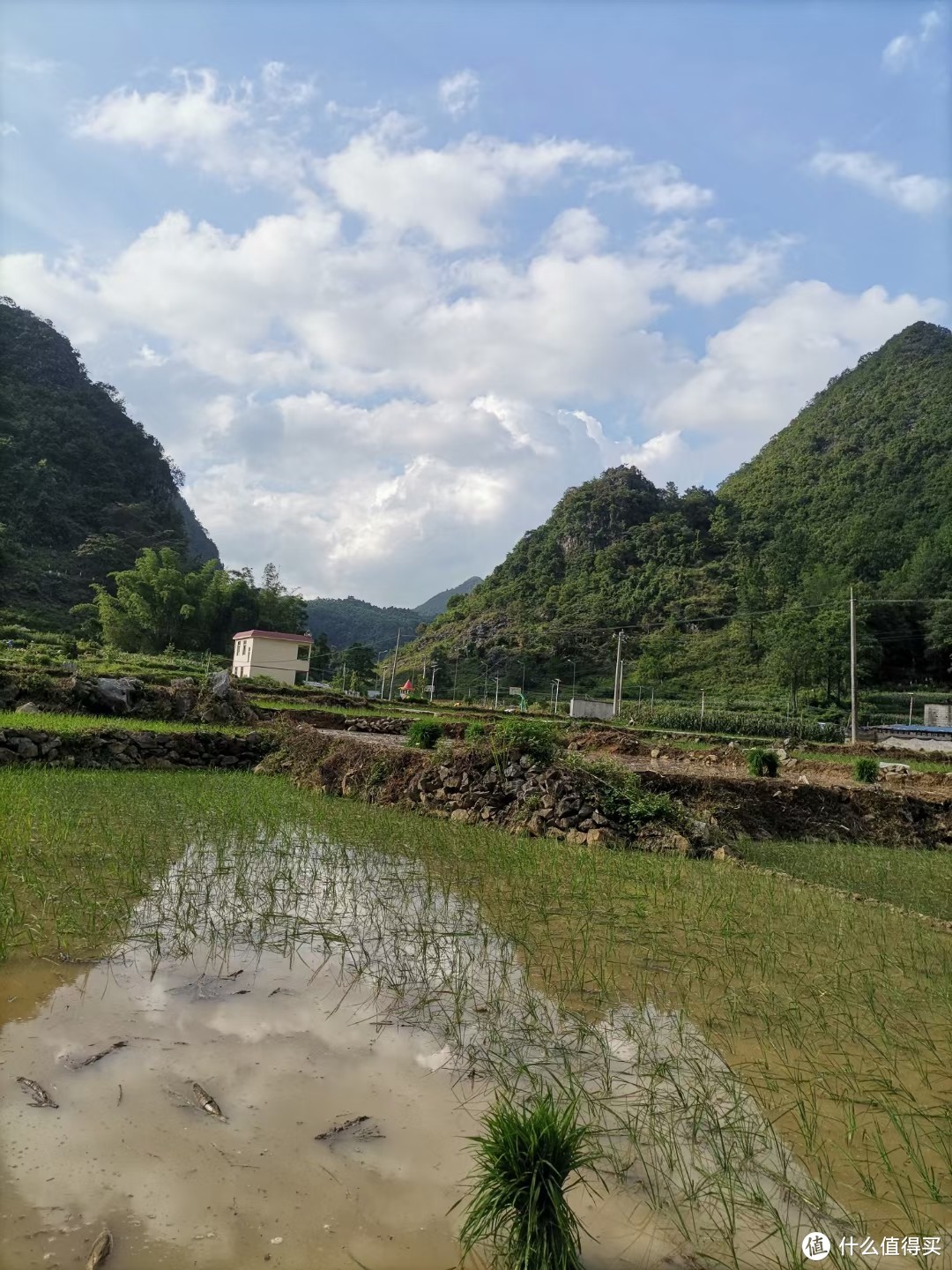       对于一年只种一季水稻的地区来说，种水稻的时候就到了夏天。