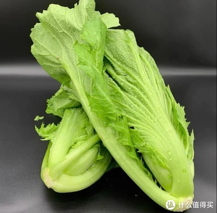 大青菜（芥菜）