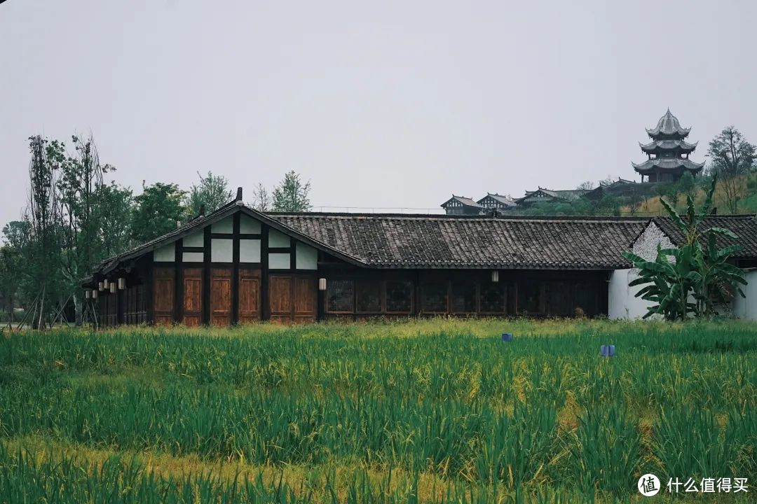 我宣布，今年最让我想「原地摆烂」的城市是它！