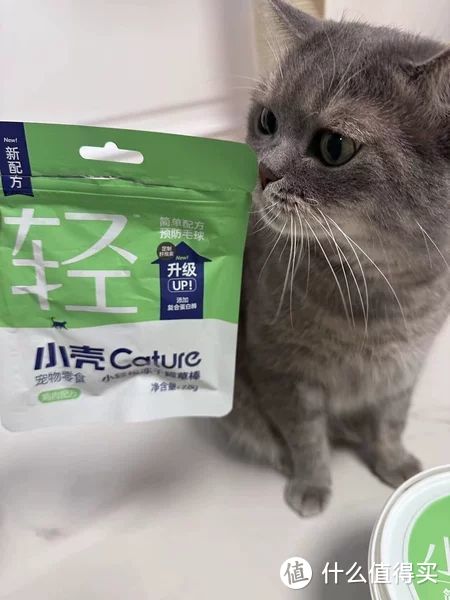 猫猫不爱吃猫草怎么办？5款帮助猫咪吐毛球的零食推荐