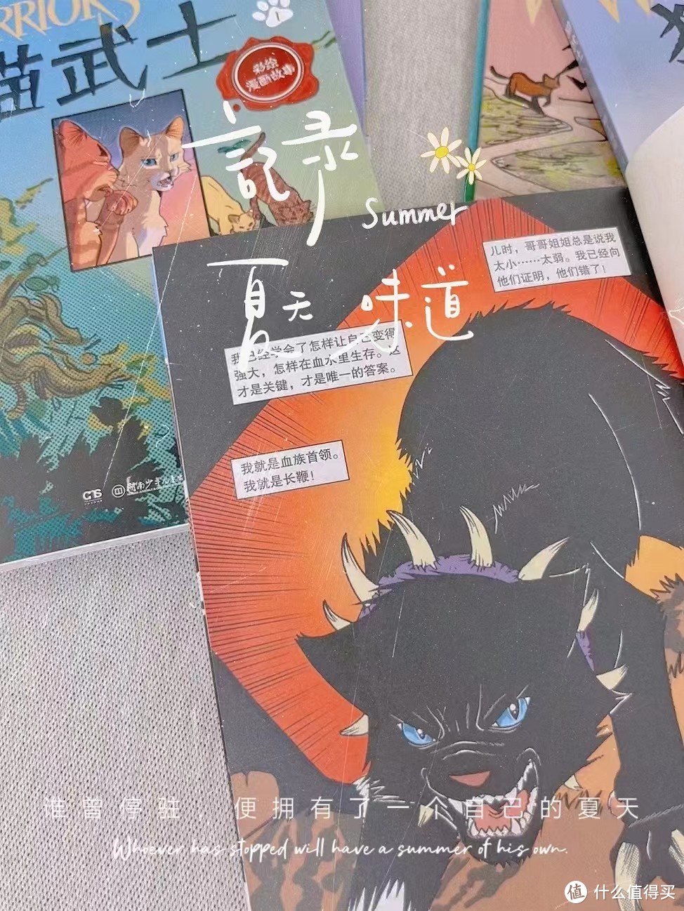 猫武士：守护你的家园，无所畏惧！