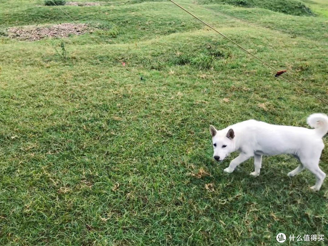 桂林周边小众游玩露营宝藏地之柘木油麻滩