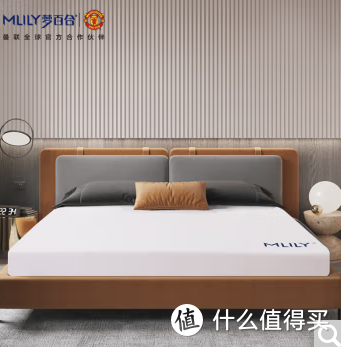 一张梦百合床垫的特写，展示着它充满自然气息的设计和材质。