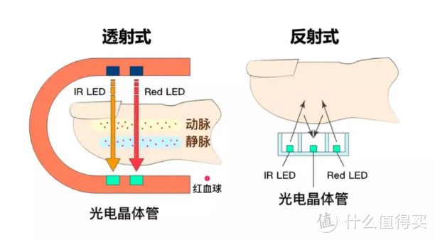 乐普O2Ring指环式血氧仪使用初体验：随时随地监测血氧，更好了解自己的健康状况！