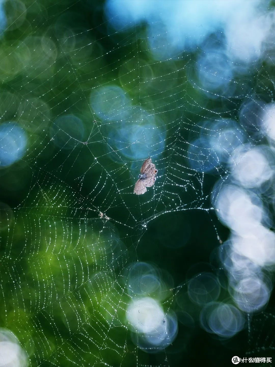 仅售960！铭匠光学发布100mm F2.8镜头