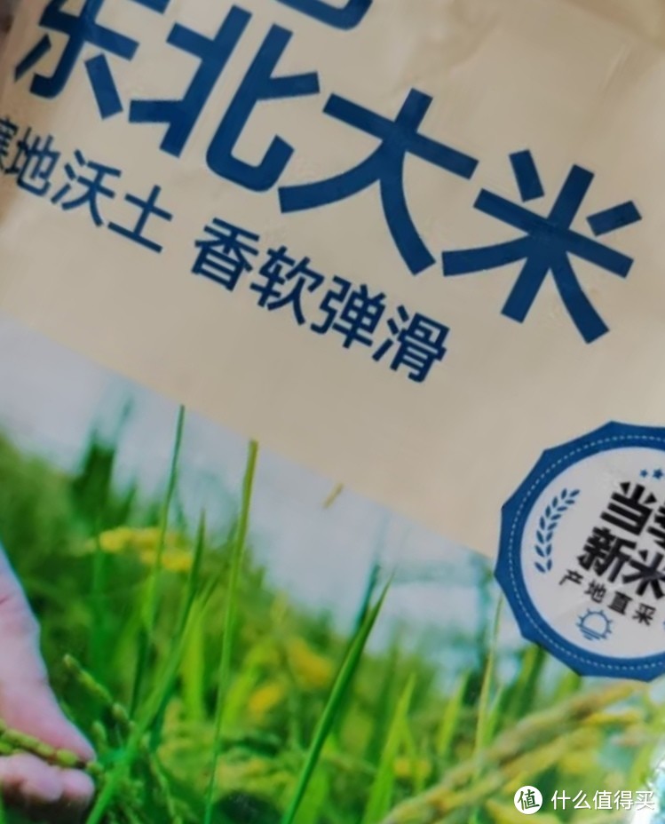 惠寻京东自有品牌东北珍珠米500g+花生浓香型植物调和油200ml 