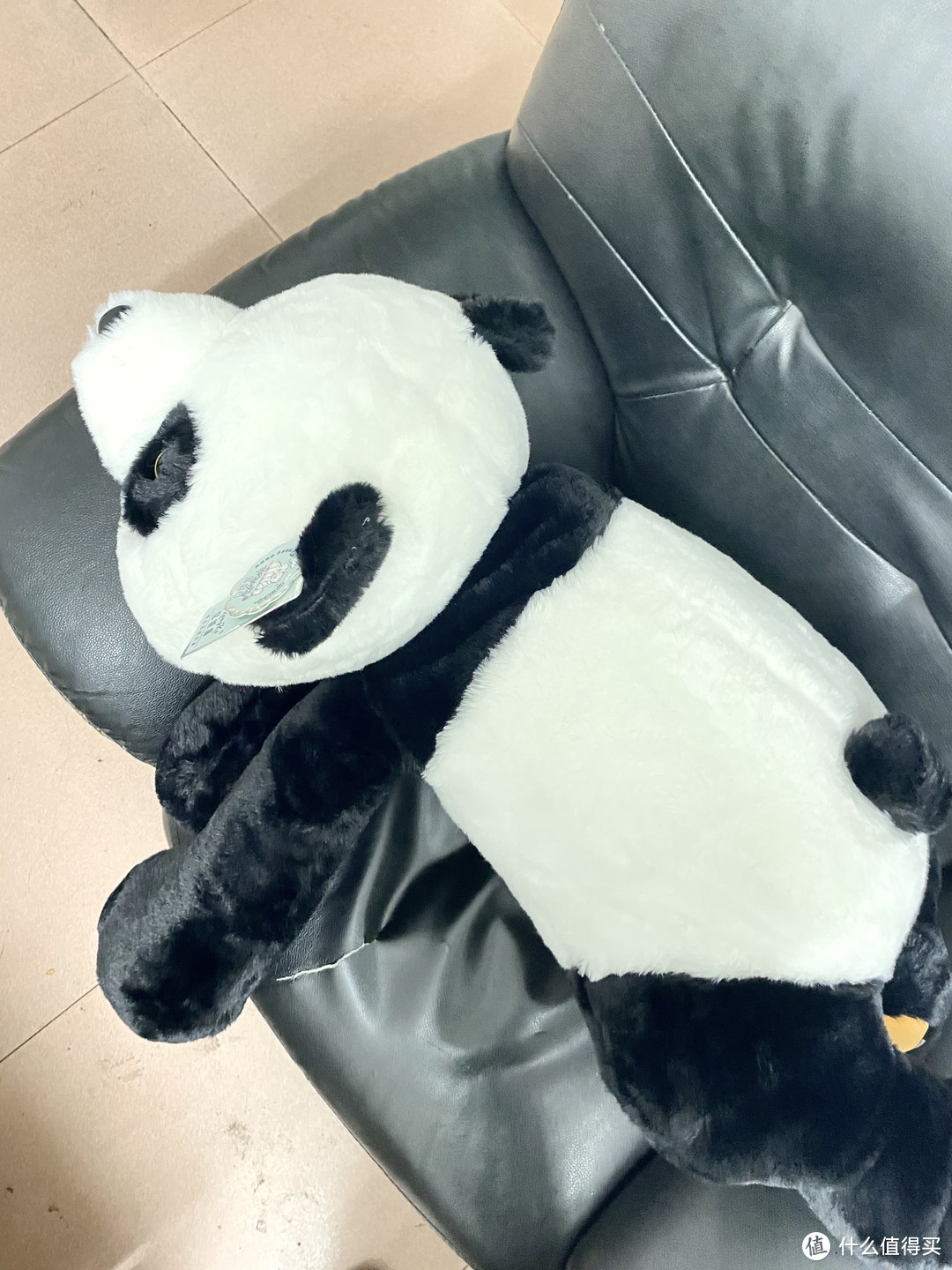🐼睡觉好物就是-大熊猫