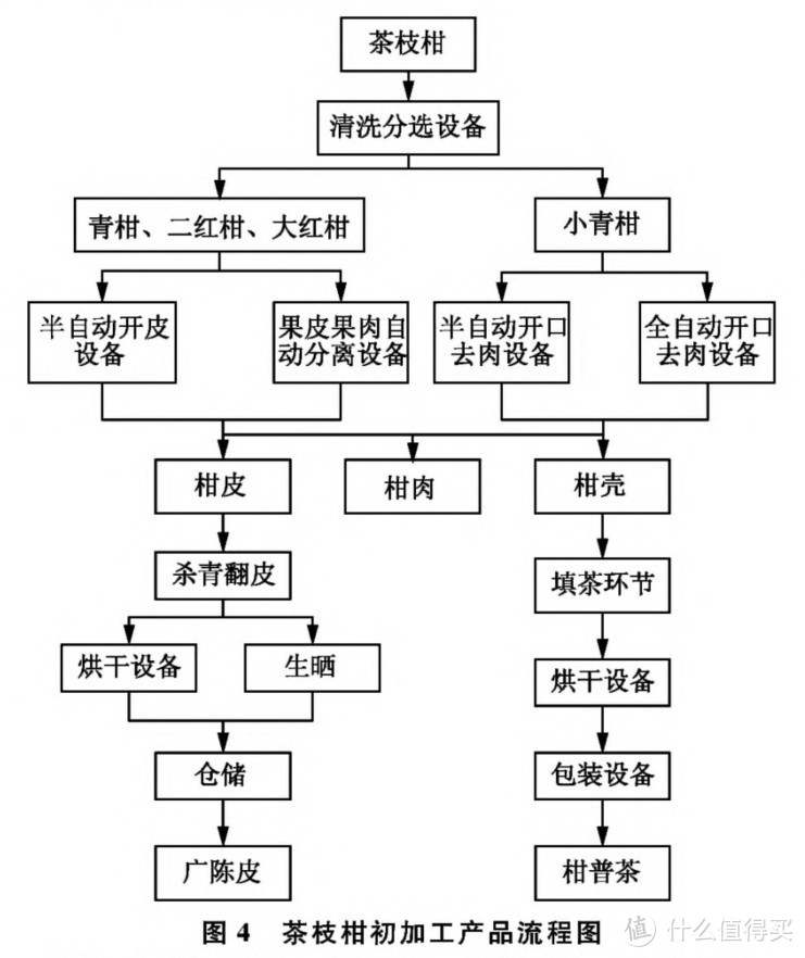 茶枝柑现代化初加工产品流程图