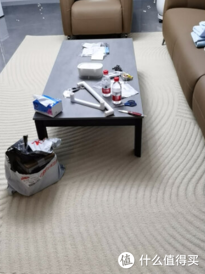 优立家用客厅防水地毯测评：家中地毯一个就够了