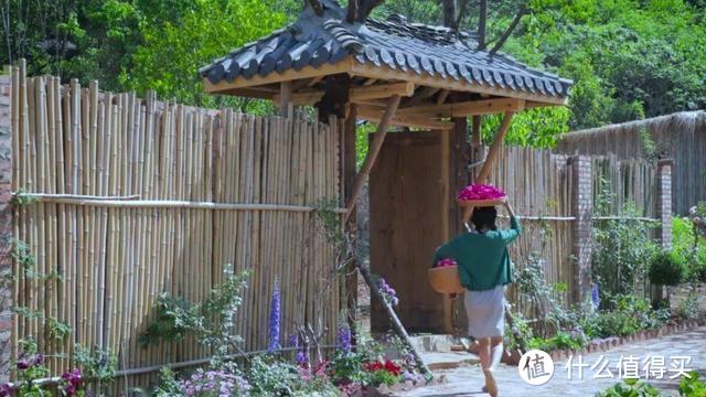 时隔2年多，再回“李子柒”的院子，发现“人间仙境”不太真实