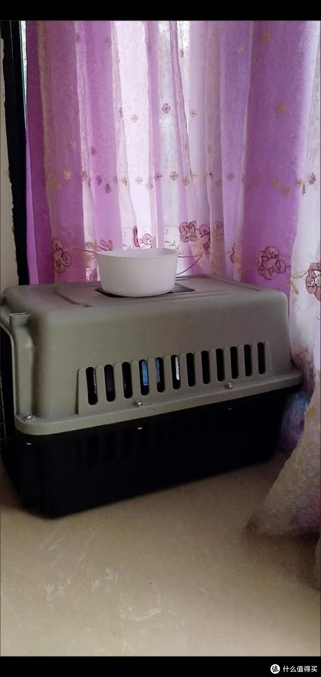《宠物新家：航空运箱，让宠物在家也能感受到旅行的快乐！🌟》