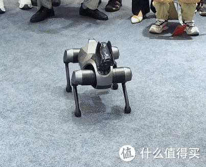 2023 世界机器人博览会 首日逛展
