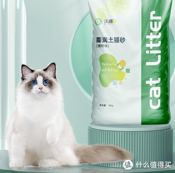 舒适从细节开始：探秘沃趣猫砂为猫咪带来的宠爱之感!