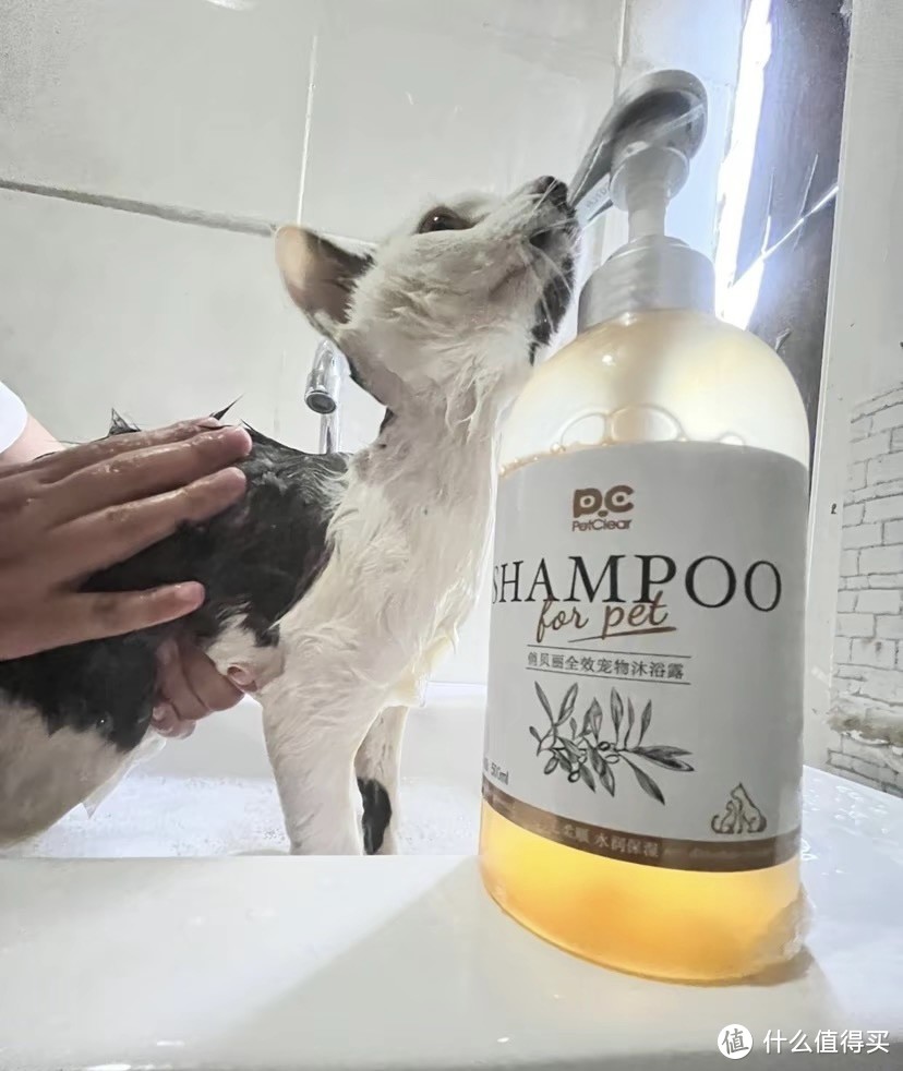 "俏贝丽"宠物狗沐浴露主要用于宠物狗的洗浴和护理，具有以下作用