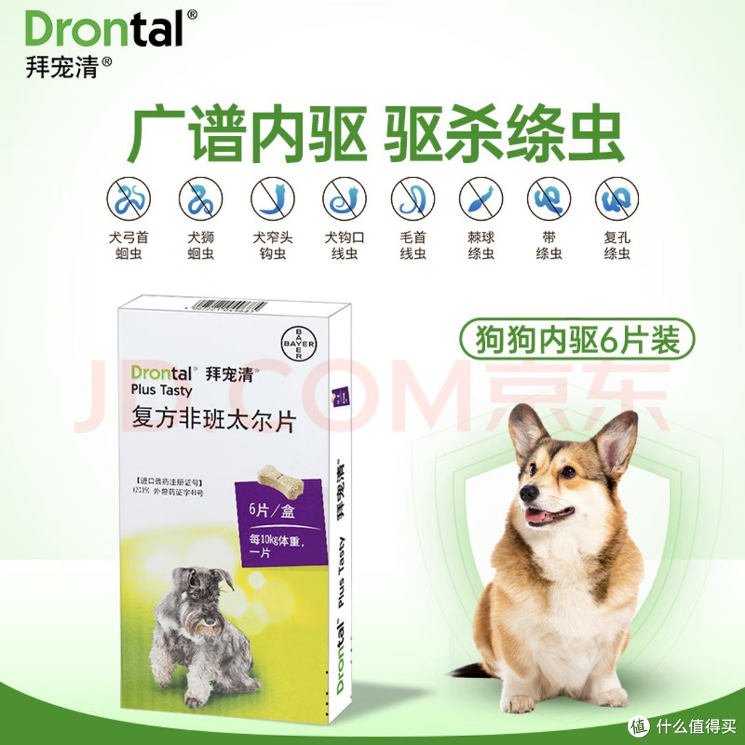 犬猫驱虫药到底怎么选？