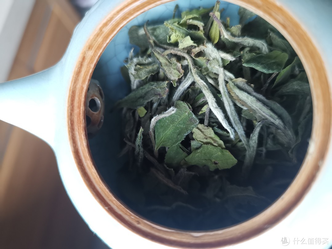 震惊！新地图！恒福茶厂！再来几期就到小玉啦！