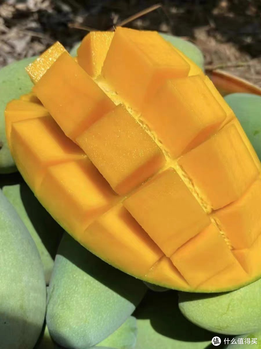 芒果狂想曲：探索百种吃法，领略热带果王的美味传奇
