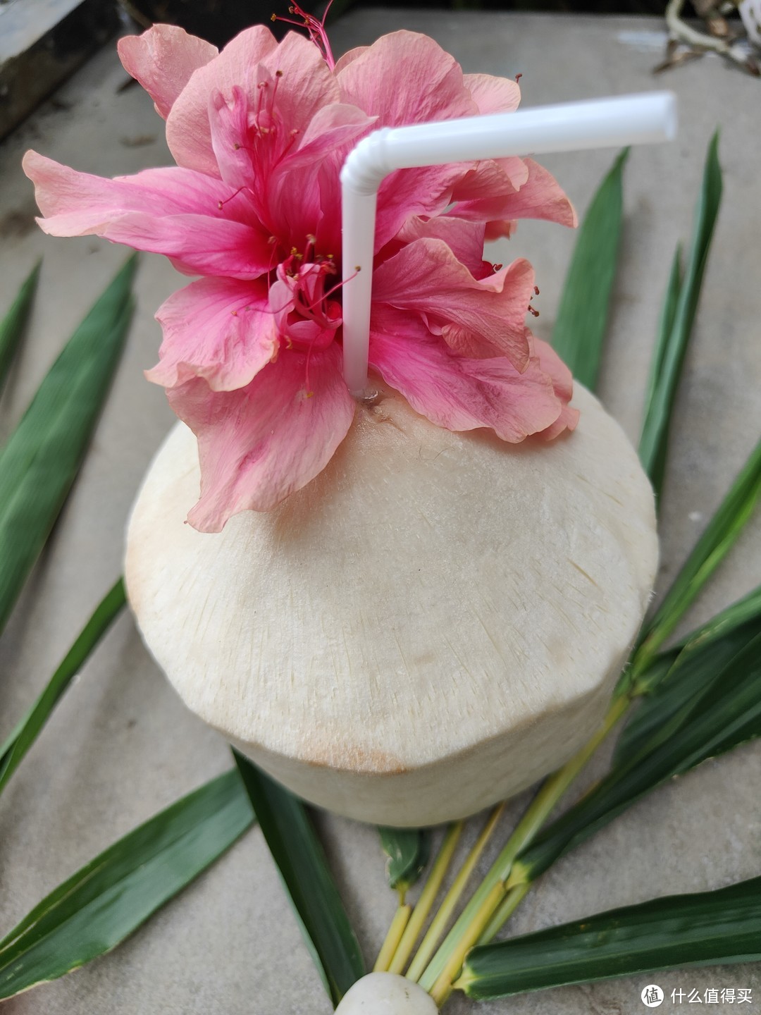 佳沃泰国进口香水椰青，让你的夏日更清凉！