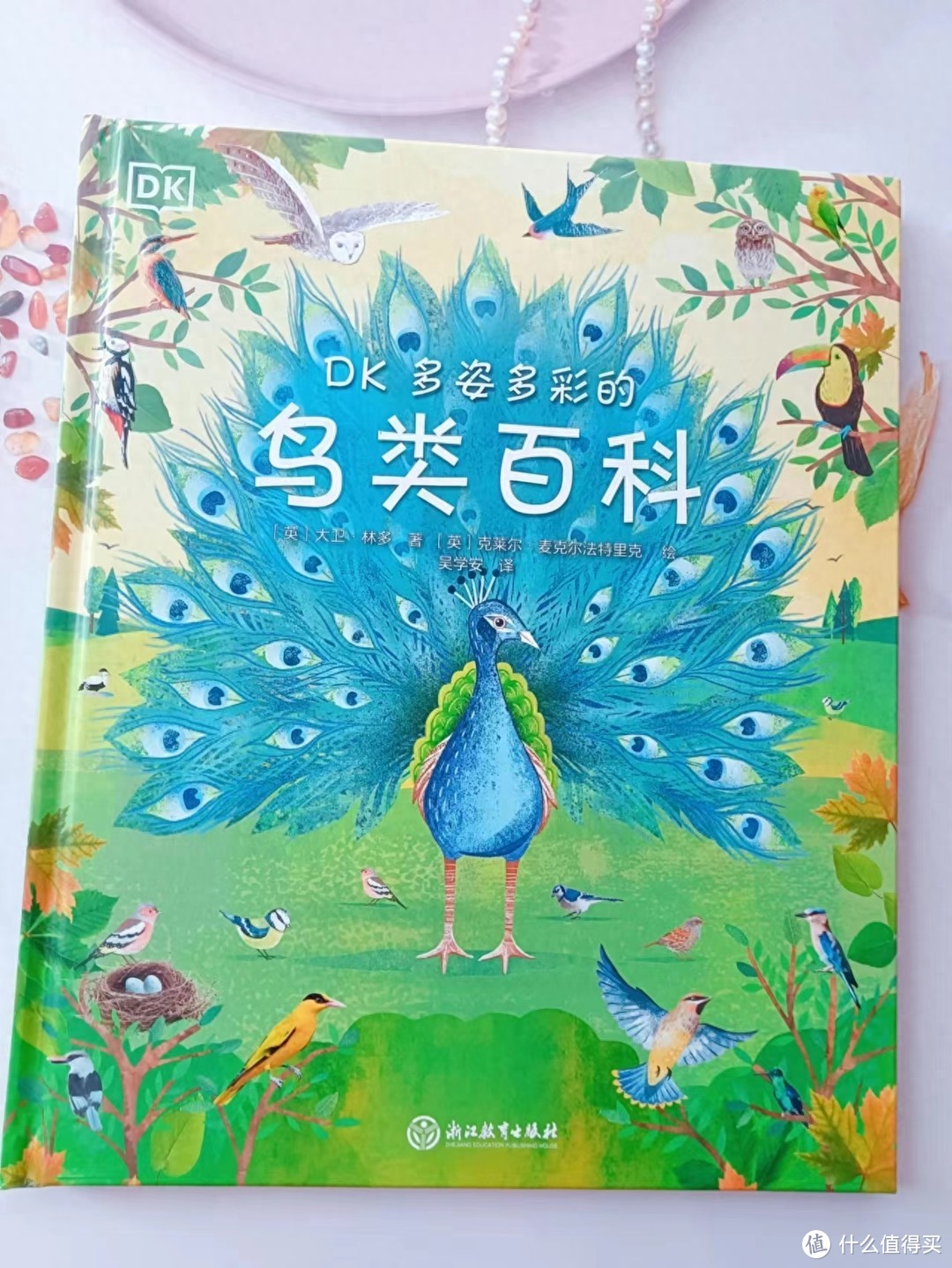 《DK多姿多彩的鸟类百科》：带孩子认识鸟类世界，发现生活之美