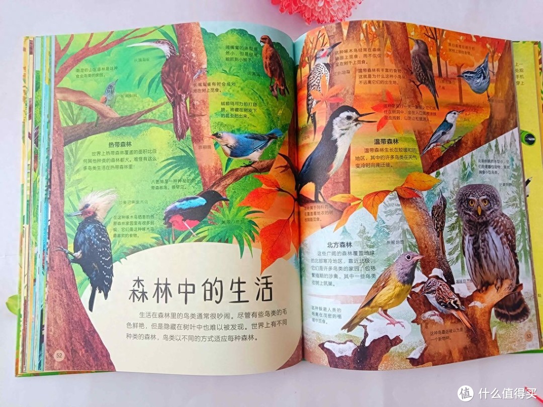 《DK多姿多彩的鸟类百科》：一本关于鸟类行为图鉴的儿童科普读物