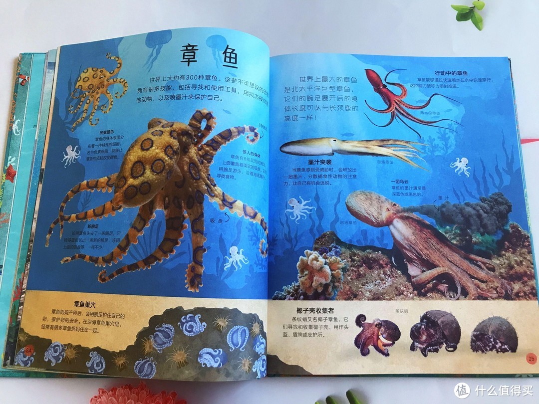 《DK不可思议的海洋百科》：带孩子探索海洋惊奇的领域