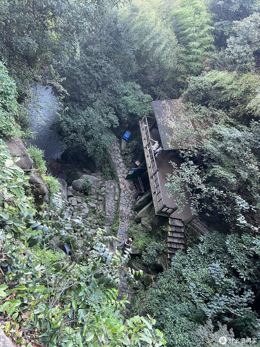 莫干山森泊三天两晚，没有娃和婆婆出行怎么玩？第一天～