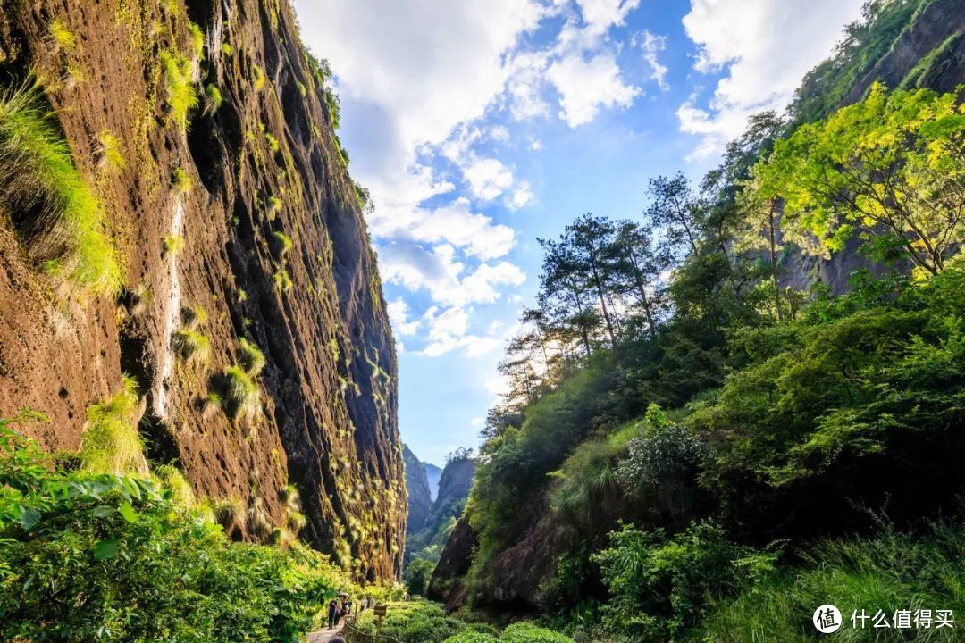 漫步武夷山，喝杯大红袍，过一段隐居生活