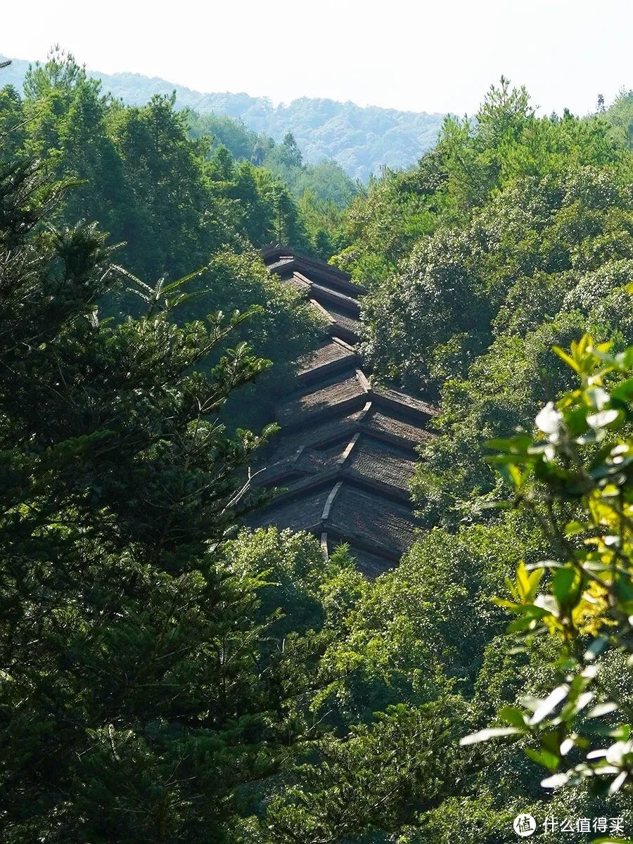 漫步武夷山，喝杯大红袍，过一段隐居生活