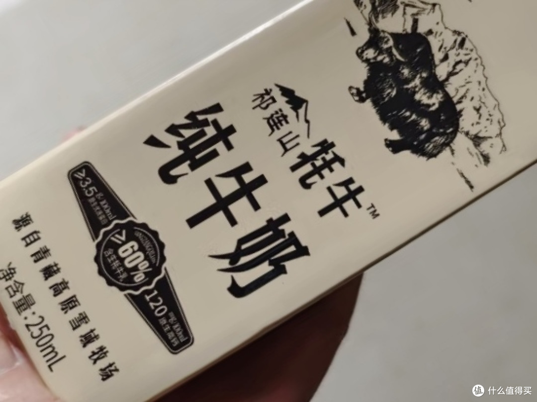 青藏祁莲祁连山牦牛牛奶