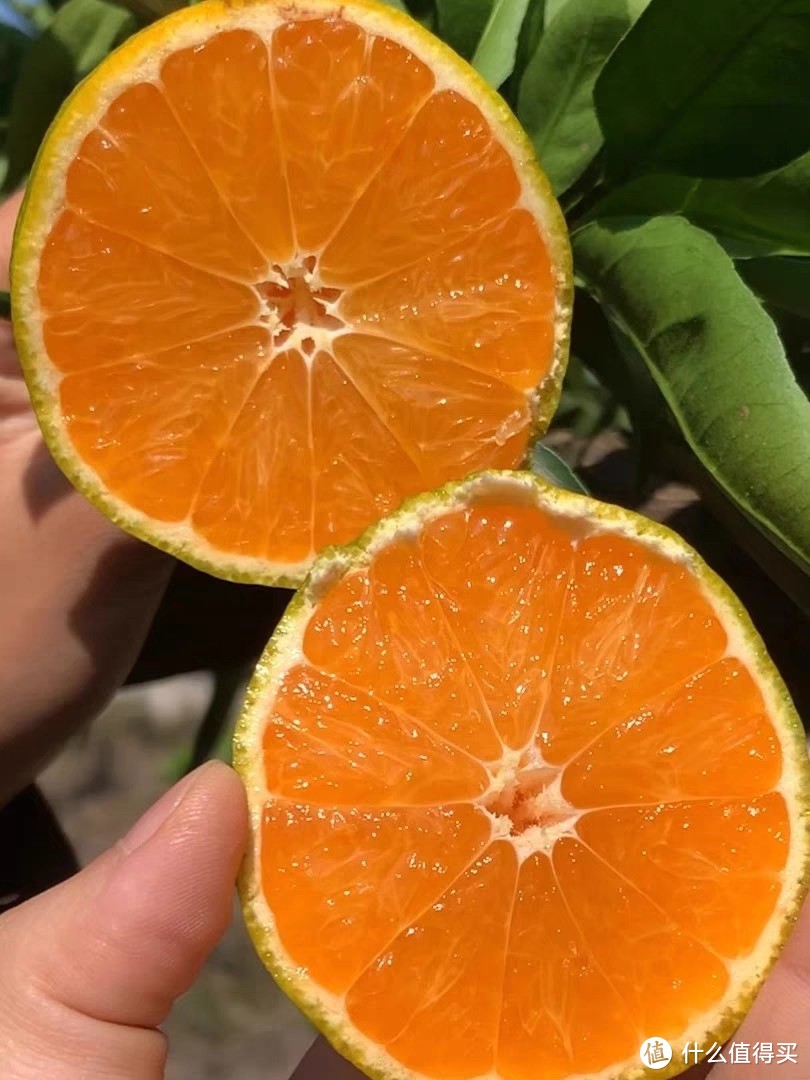 《橘子的百种吃法：打破常规，开启味蕾的探险之旅》