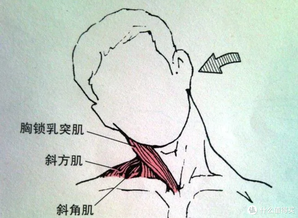 如何判断自己的静态跑姿是否正确