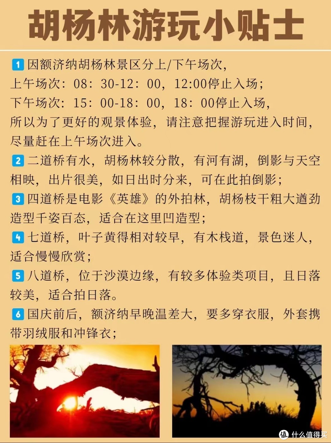 9-11月九大秋景🍂绝美胡杨林❗️附详细攻略