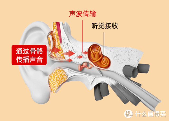 骨传导能保护听力吗，骨传导耳机的原理