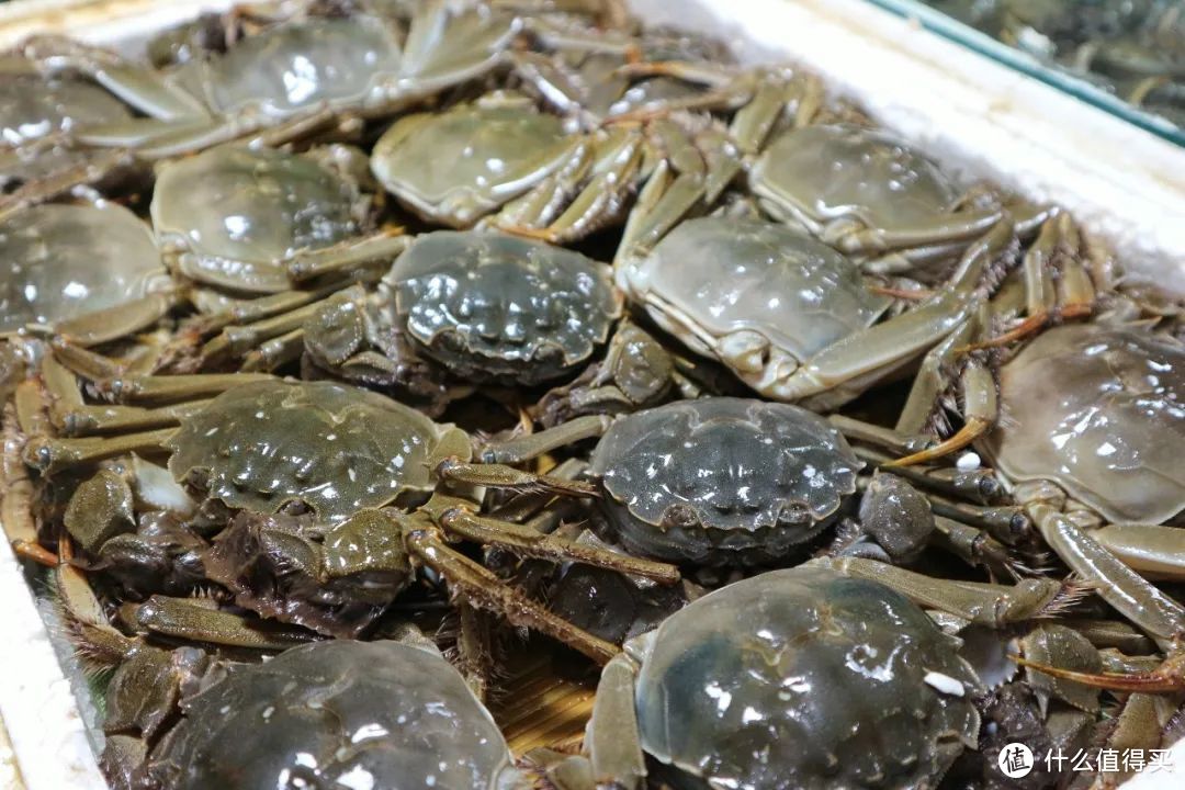 美食攻略之全国各地螃蟹品尝评测以及购买攻略