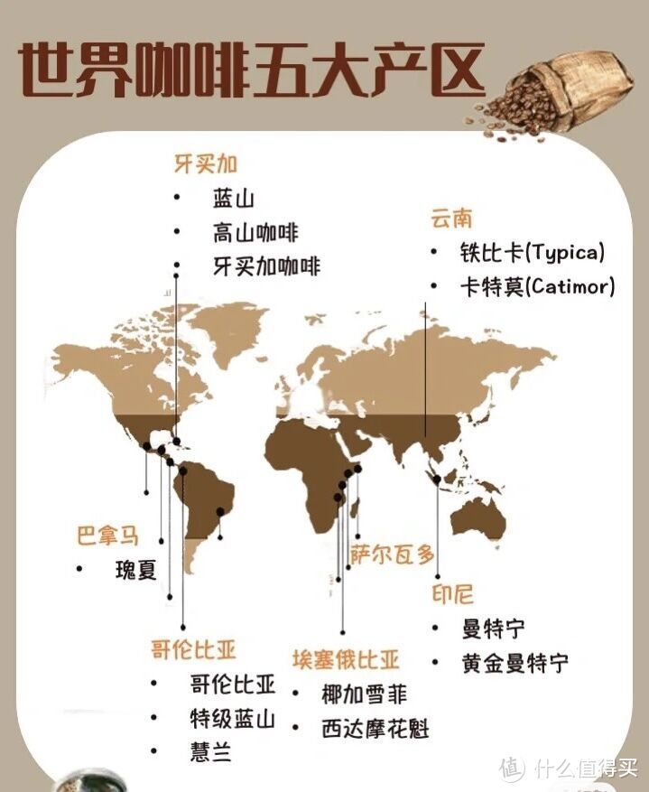 网图：精品咖啡产区图