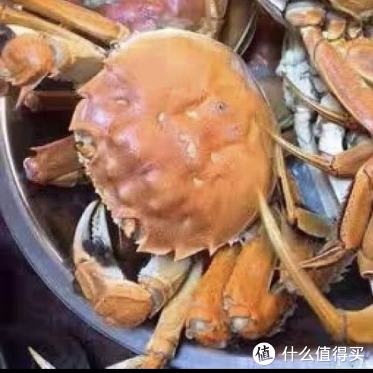 大闸蟹——美味与传奇的结合