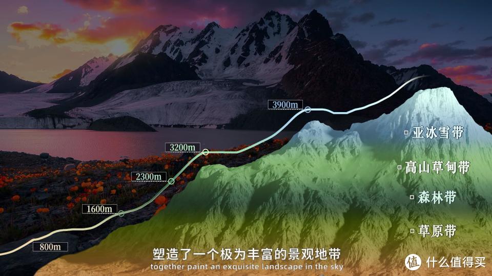 《山河中国》「天山，因何伟大？」探寻古丝绸之路，传承千年文明