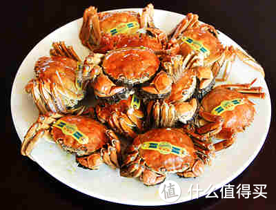 吃大闸蟹的季节到了！顶级食材品尝极致美味