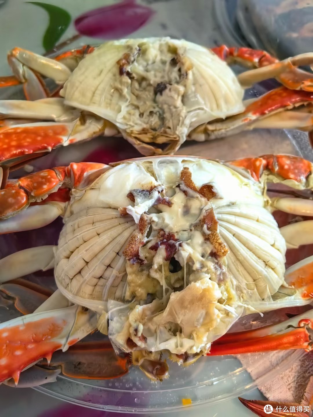 据说是山东最好的螃蟹-莱州湾梭子蟹