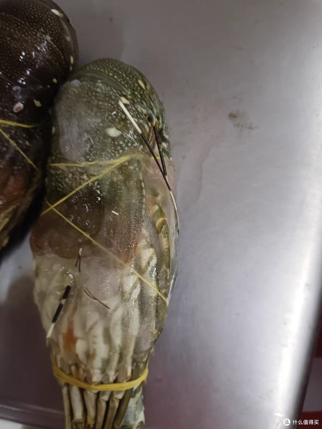 最后,小青龙冰冻龙虾的价格也非常合理.