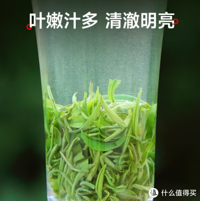 碧螺春挑选技巧，口粮茶自用送礼都不错。