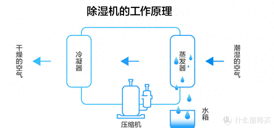 超全口碑除湿机推荐测评：干货满满，真人多品牌除湿机实测分享