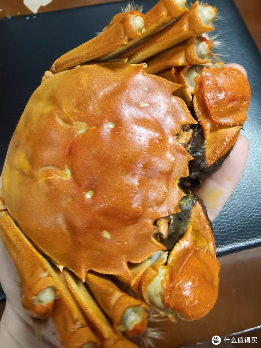 九月金秋，螃蟹盛宴，舌尖上的狂欢!